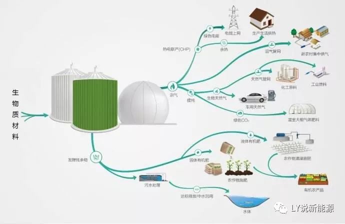 生物質能源的經濟效應規模與市場潛力分析