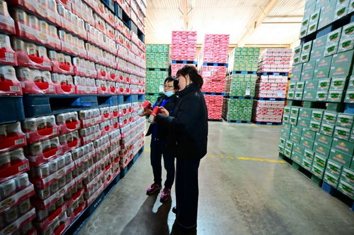 餐桌上的食品安全無小事,走進(jìn)沈陽綠色工廠,探訪神秘生產(chǎn)線